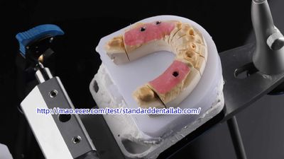 Standard Dental Lab Co., Limited linha de produção do fabricante