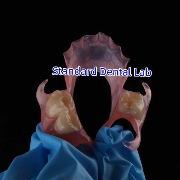 Standard Dental Lab Co., Limited linha de produção do fabricante