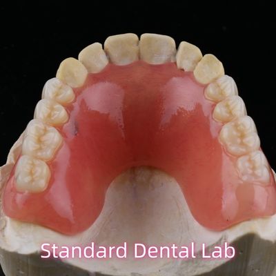 comprar Dentária temporária Dentadura parcial acrílica Ivoclar YAMAHACHI fabricação em linha