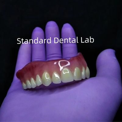comprar Dentária Dentes Removíveis de Acrílico Ivoclar Dentes de Acrílico fabricação em linha