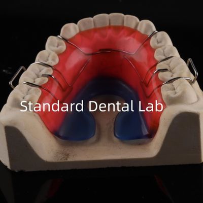 comprar Dentes Ortodônticos Expansor Palato Espaço Estável Arco Dental Expansor Bom Ajuste fabricação em linha