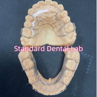 comprar Retentor de ortodoncia profissional Retentor dental acrílico Hawley Adam Clasps fabricação em linha