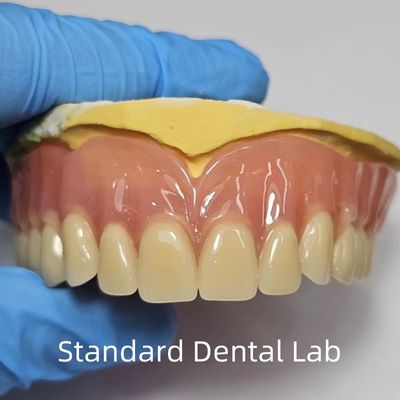 comprar Padrão Ivoclar Profissional de Dentadura Completa Acrílica Certificado pela FDA fabricação em linha