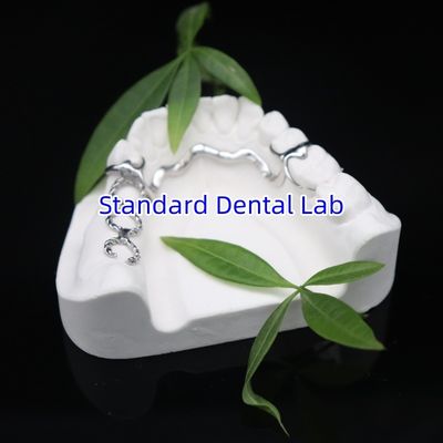 comprar Vitallium 2000 quadro parcial ISO CE e FDA China laboratório odontológico quadro metálico fabricação em linha