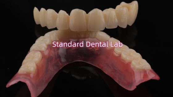 comprar Porcelana em camadas altamente durável e de aparência natural para cirurgia dentária em camadas fabricação em linha