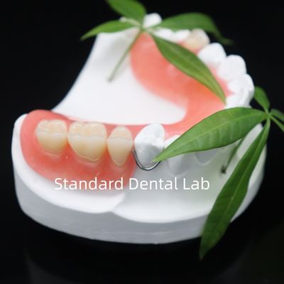 comprar Alta Estética Dentesply Lucitone 199 Dentadura Acrílica Resina acrílica para dentaduras China Laboratório dentário fabricação em linha