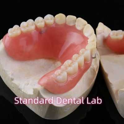Prótese dentária de resina dentária com base