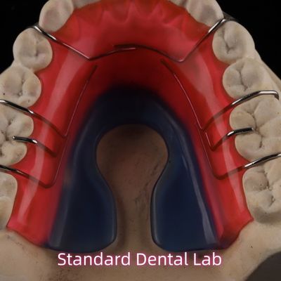 Aparelho Dental Ortodôntico Removível Hawley Retainer