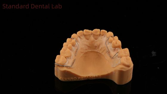 Perfect Fit Alemanha Dentes Ortopédicos Halley Retentor para Estética e Ajustabilidade