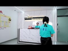 Porcelana All On Four Ponte de zircônio Ponte de implantes dentários de alta estética