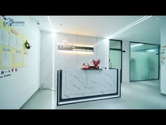 Ponte de Implante Dental Digital de Malo Titânio Ivoclar Ponte de Circônio Híbrido