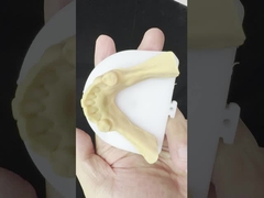 Ligações metálicas parcialmente Cobalt Cromo Dentárias Ivoclar Scheftner Confortável Metal Framewrok