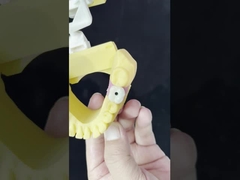 Porcelana All On Four Ponte de zircônio Alta estética Implante dentário Ponte parafuso retido