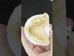 Ligações metálicas parcialmente Cobalt Cromo Dentárias Ivoclar Scheftner Confortável Metal Framewrok