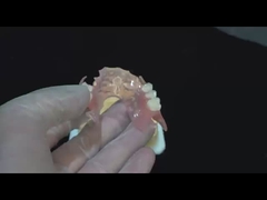 Ace Teeth Rosa/escura TCS Valplast Dentes parciais flexíveis para alta estética Dental 3D Print Model